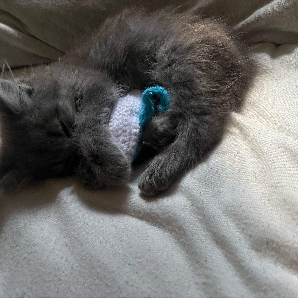 Meet your Posher, Srenx